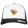Flexfit Retro Trucker Cap 2-Tone Miniaturansicht