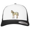 Flexfit Retro Trucker Cap 2-Tone Miniaturansicht