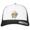 Flexfit Retro Trucker Cap 2-Tone Miniaturansicht