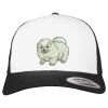 Flexfit Retro Trucker Cap 2-Tone Miniaturansicht