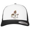 Flexfit Retro Trucker Cap 2-Tone Miniaturansicht