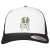 Flexfit Retro Trucker Cap 2-Tone Miniaturansicht
