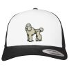 Flexfit Retro Trucker Cap 2-Tone Miniaturansicht