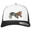 Flexfit Retro Trucker Cap 2-Tone Miniaturansicht