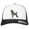 Flexfit Retro Trucker Cap 2-Tone Miniaturansicht