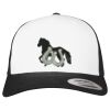 Flexfit Retro Trucker Cap 2-Tone Miniaturansicht