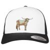 Flexfit Retro Trucker Cap 2-Tone Miniaturansicht