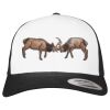 Flexfit Retro Trucker Cap 2-Tone Miniaturansicht