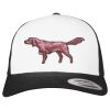 Flexfit Retro Trucker Cap 2-Tone Miniaturansicht