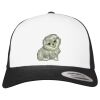 Flexfit Retro Trucker Cap 2-Tone Miniaturansicht