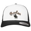Flexfit Retro Trucker Cap 2-Tone Miniaturansicht