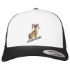 Flexfit Retro Trucker Cap 2-Tone Miniaturansicht
