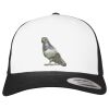 Flexfit Retro Trucker Cap 2-Tone Miniaturansicht