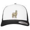Flexfit Retro Trucker Cap 2-Tone Miniaturansicht