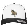 Flexfit Retro Trucker Cap 2-Tone Miniaturansicht