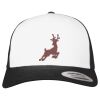 Flexfit Retro Trucker Cap 2-Tone Miniaturansicht