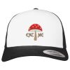 Flexfit Retro Trucker Cap 2-Tone Miniaturansicht