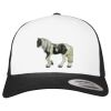 Flexfit Retro Trucker Cap 2-Tone Miniaturansicht