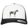 Flexfit Retro Trucker Cap 2-Tone Miniaturansicht