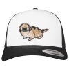 Flexfit Retro Trucker Cap 2-Tone Miniaturansicht