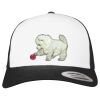 Flexfit Retro Trucker Cap 2-Tone Miniaturansicht