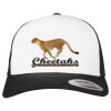 Flexfit Retro Trucker Cap 2-Tone Miniaturansicht