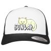 Flexfit Retro Trucker Cap 2-Tone Miniaturansicht