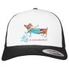 Flexfit Retro Trucker Cap 2-Tone Miniaturansicht