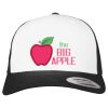 Flexfit Retro Trucker Cap 2-Tone Miniaturansicht