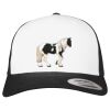 Flexfit Retro Trucker Cap 2-Tone Miniaturansicht