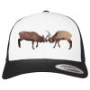 Flexfit Retro Trucker Cap 2-Tone Miniaturansicht
