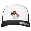 Flexfit Retro Trucker Cap 2-Tone Miniaturansicht