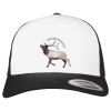 Flexfit Retro Trucker Cap 2-Tone Miniaturansicht