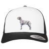 Flexfit Retro Trucker Cap 2-Tone Miniaturansicht