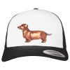 Flexfit Retro Trucker Cap 2-Tone Miniaturansicht