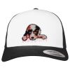 Flexfit Retro Trucker Cap 2-Tone Miniaturansicht