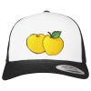 Flexfit Retro Trucker Cap 2-Tone Miniaturansicht