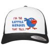 Flexfit Retro Trucker Cap 2-Tone Miniaturansicht