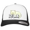 Flexfit Retro Trucker Cap 2-Tone Miniaturansicht