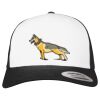 Flexfit Retro Trucker Cap 2-Tone Miniaturansicht