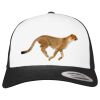 Flexfit Retro Trucker Cap 2-Tone Miniaturansicht