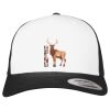 Flexfit Retro Trucker Cap 2-Tone Miniaturansicht