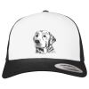 Flexfit Retro Trucker Cap 2-Tone Miniaturansicht
