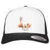 Flexfit Retro Trucker Cap 2-Tone Miniaturansicht