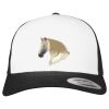 Flexfit Retro Trucker Cap 2-Tone Miniaturansicht