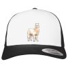 Flexfit Retro Trucker Cap 2-Tone Miniaturansicht