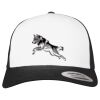 Flexfit Retro Trucker Cap 2-Tone Miniaturansicht