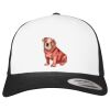 Flexfit Retro Trucker Cap 2-Tone Miniaturansicht