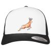 Flexfit Retro Trucker Cap 2-Tone Miniaturansicht