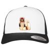 Flexfit Retro Trucker Cap 2-Tone Miniaturansicht